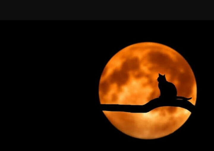 moon