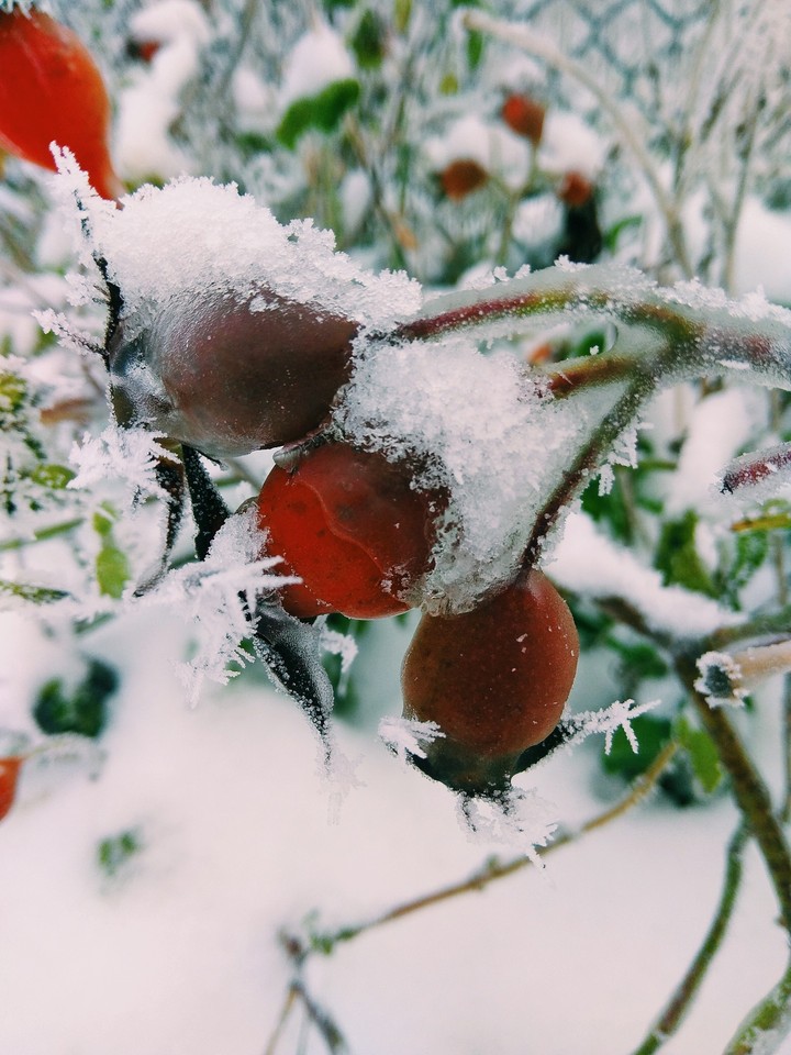 winter