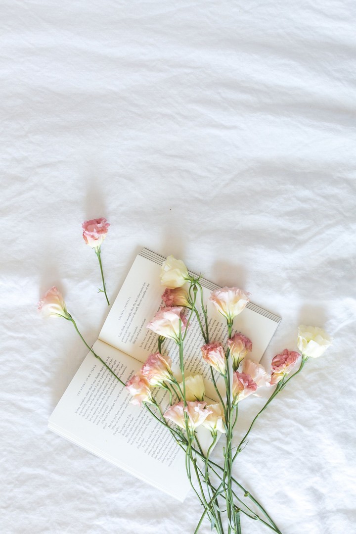 Love book ❤️