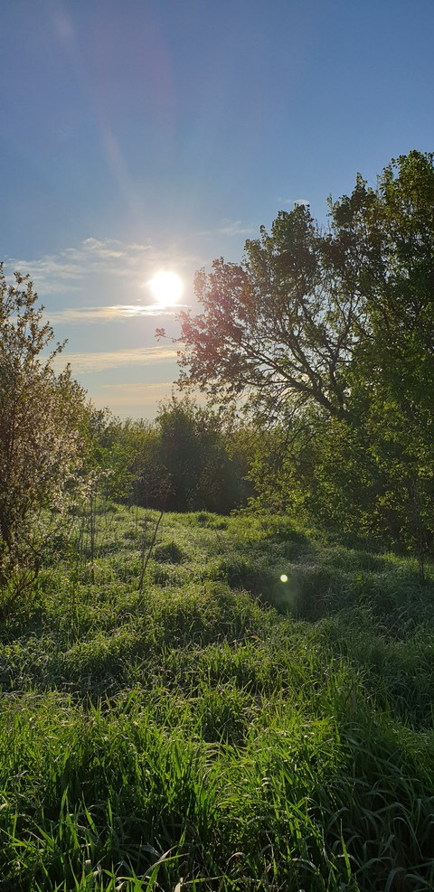 Природа. Рассвет.