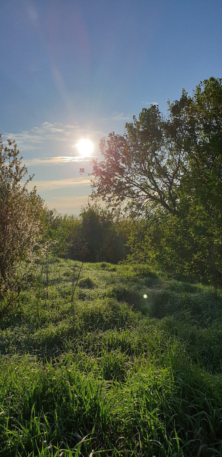 Природа. Рассвет.
