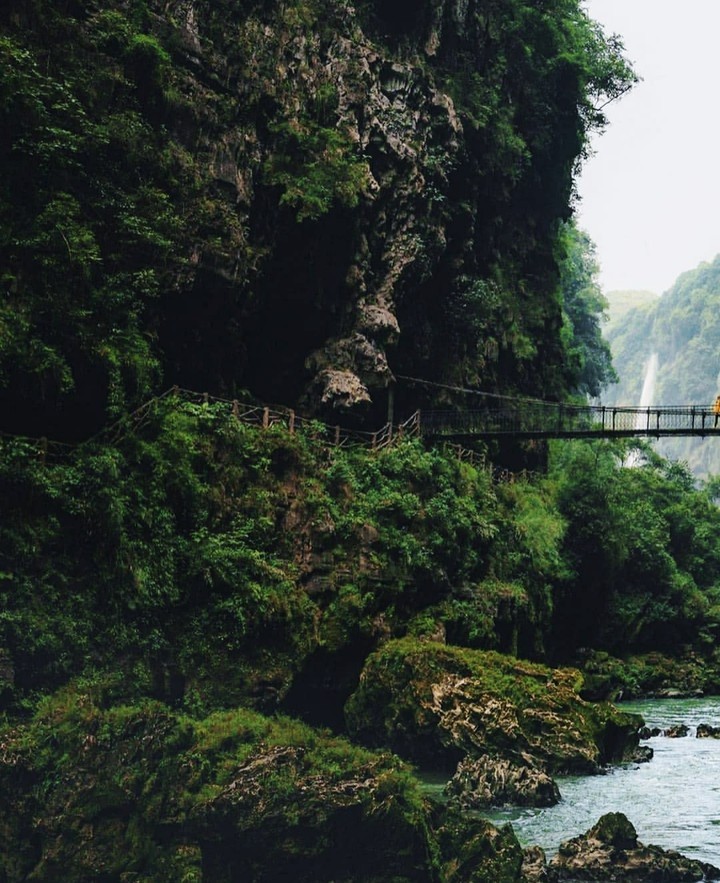 bridge