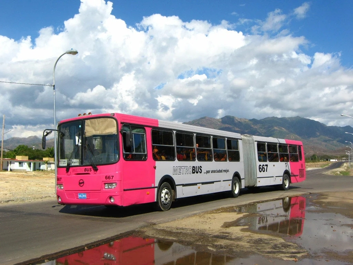liaz