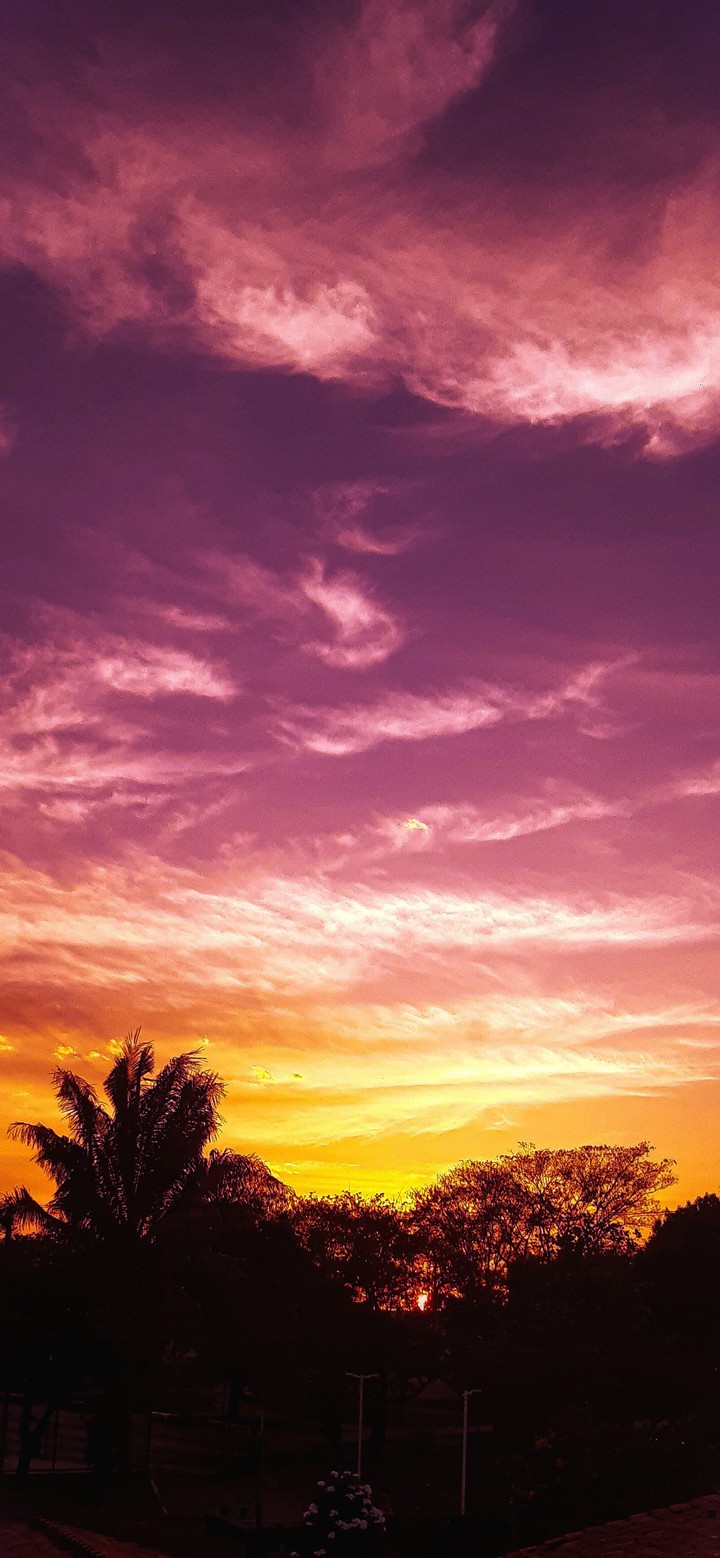 fim de tarde
