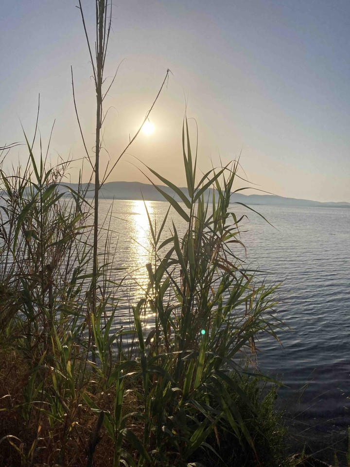 sunrise