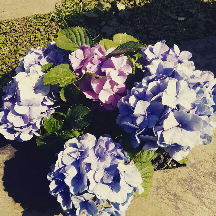 Spring is coming