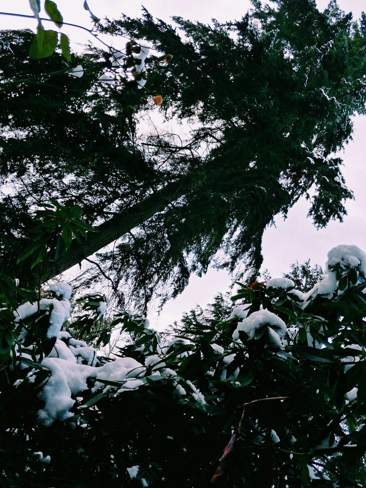 snow