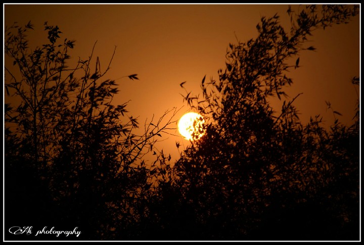 sunset