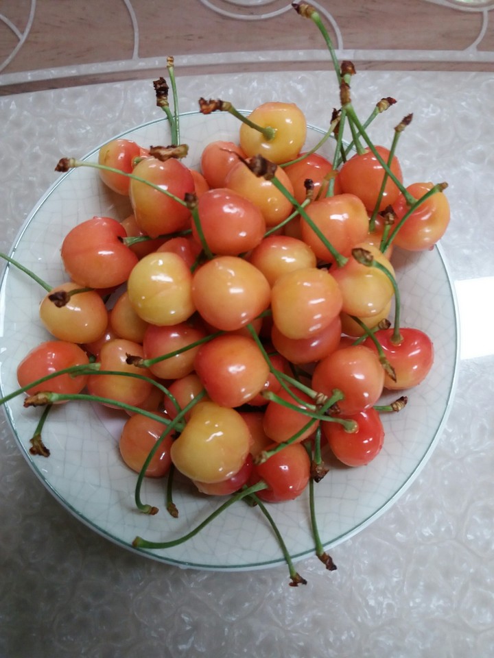 체리