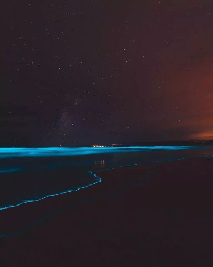 sea