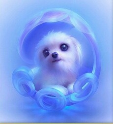 щеночек*[МИЛОТА]*