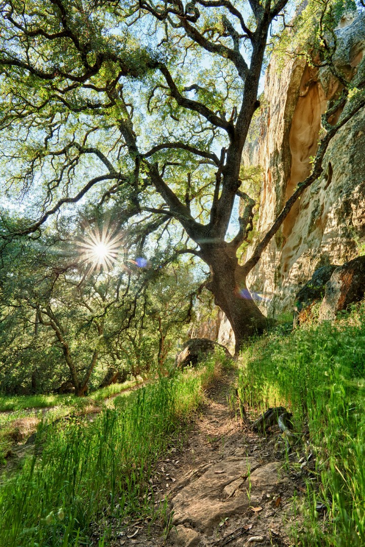 Nature.