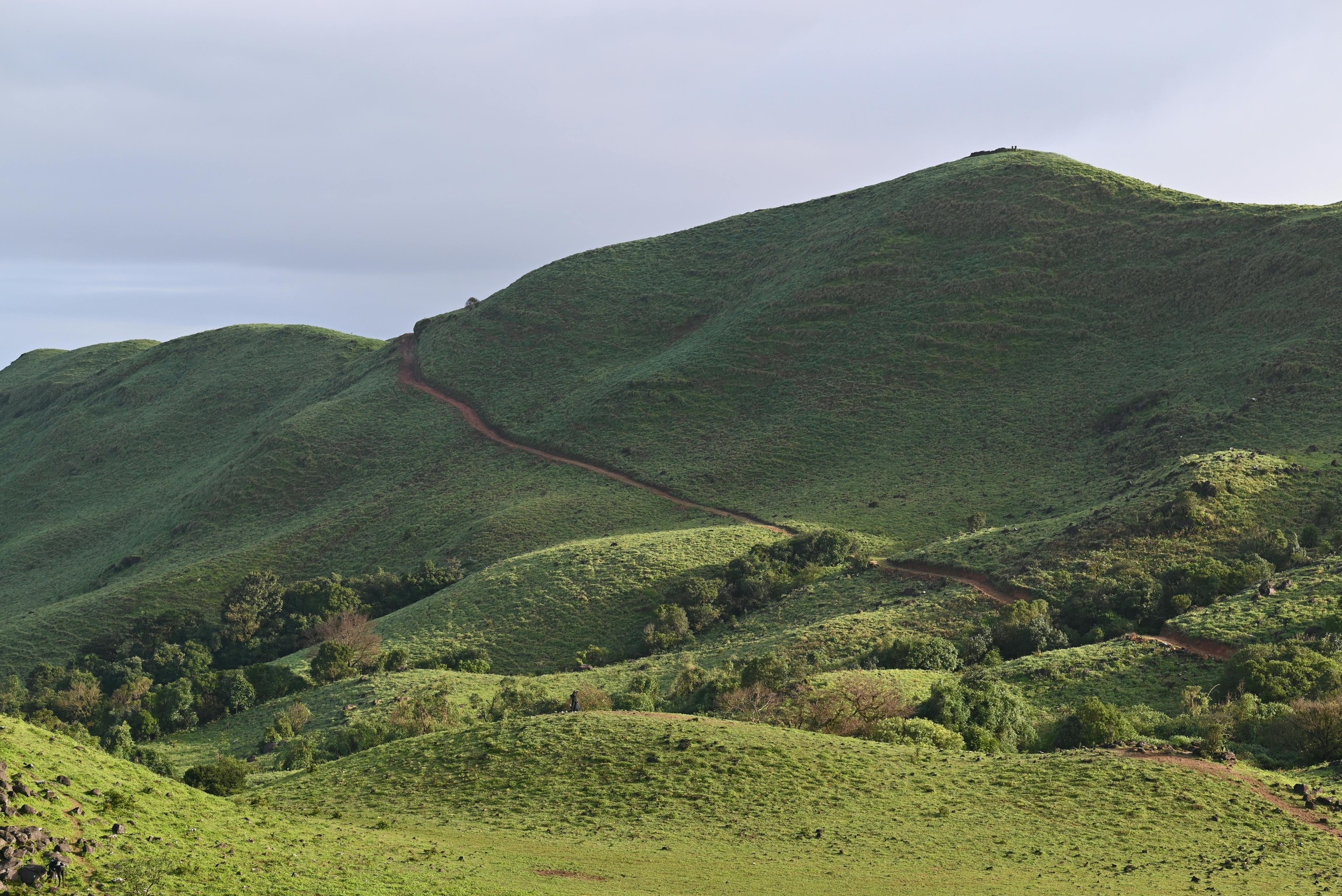 grass, mountain duvar kağıtları