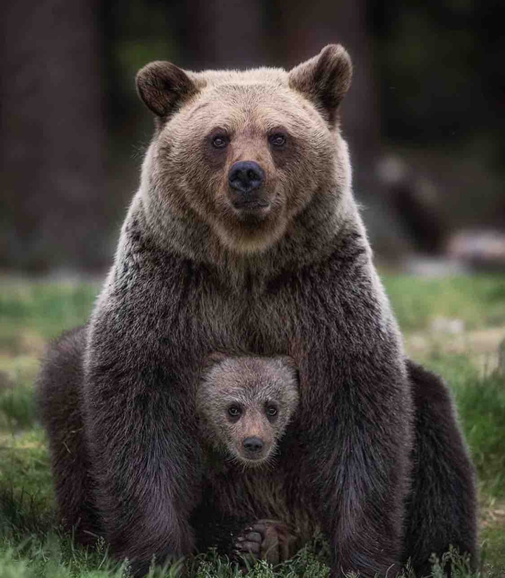 ?