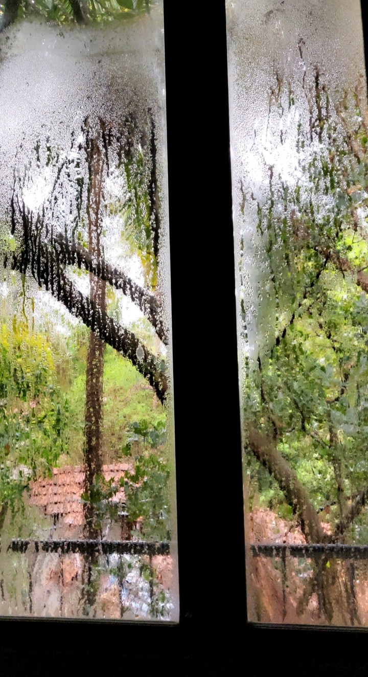 Goa rains