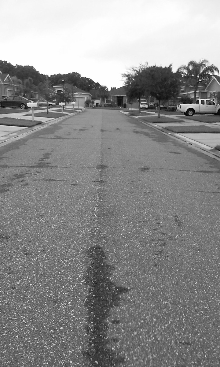 LONG WALK