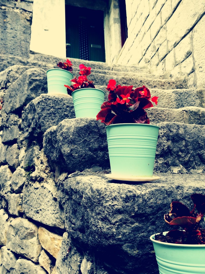 Flovers