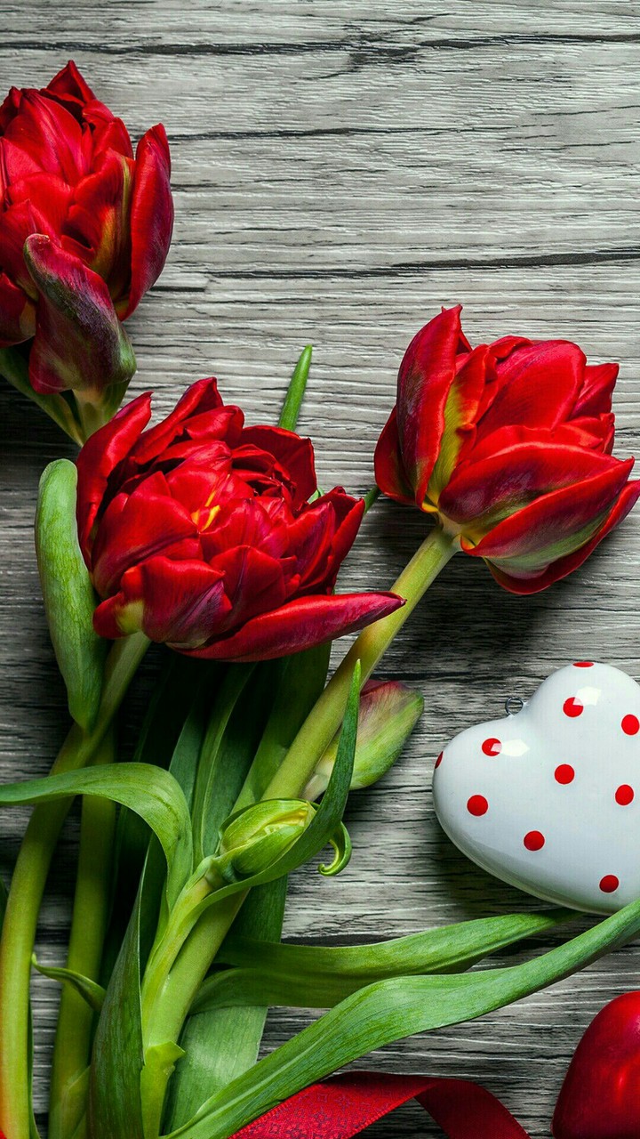 nice love flowers