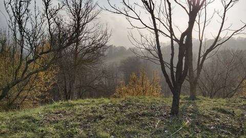 haze