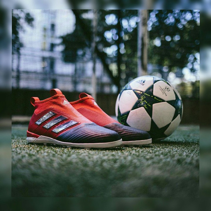 Fútbol