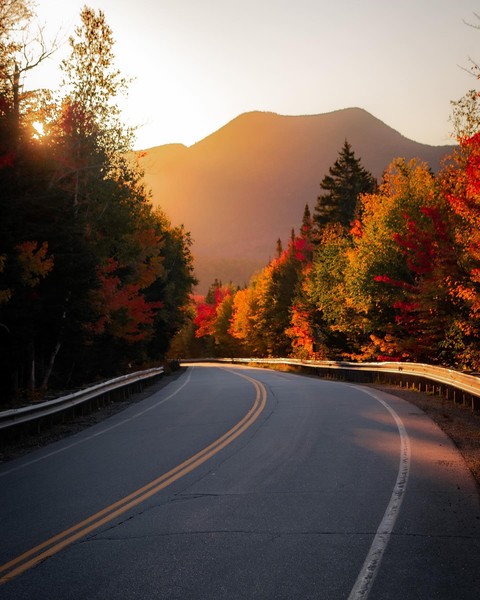 travel, fallenleaves duvar kağıtları