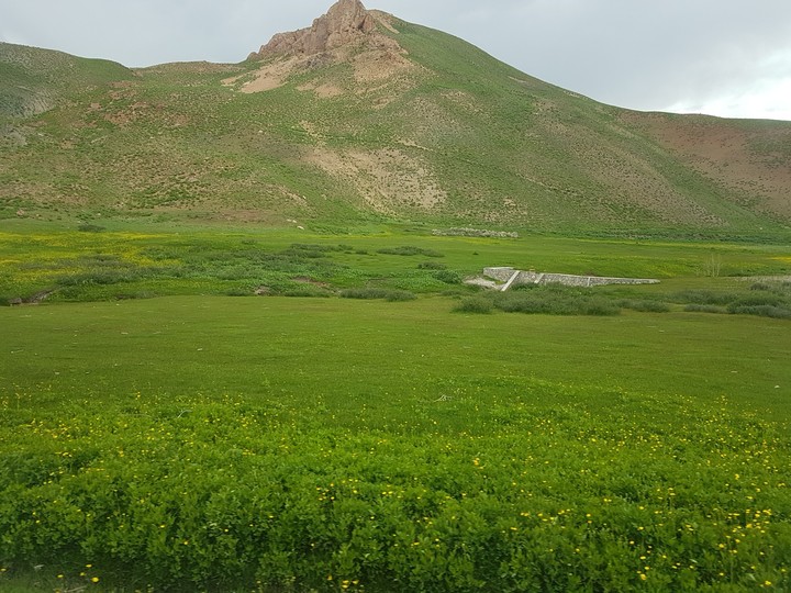Afghanistan ??