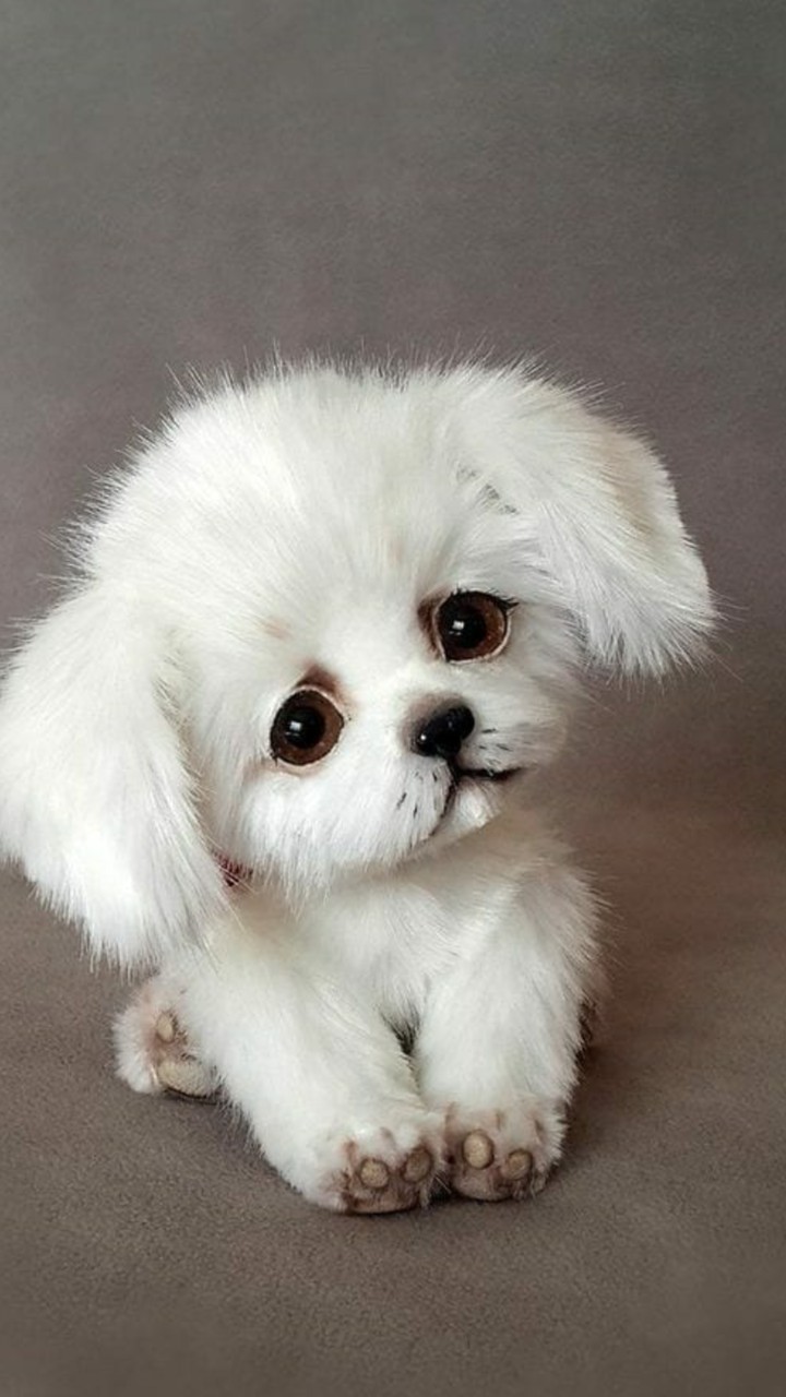 cuteee ?....