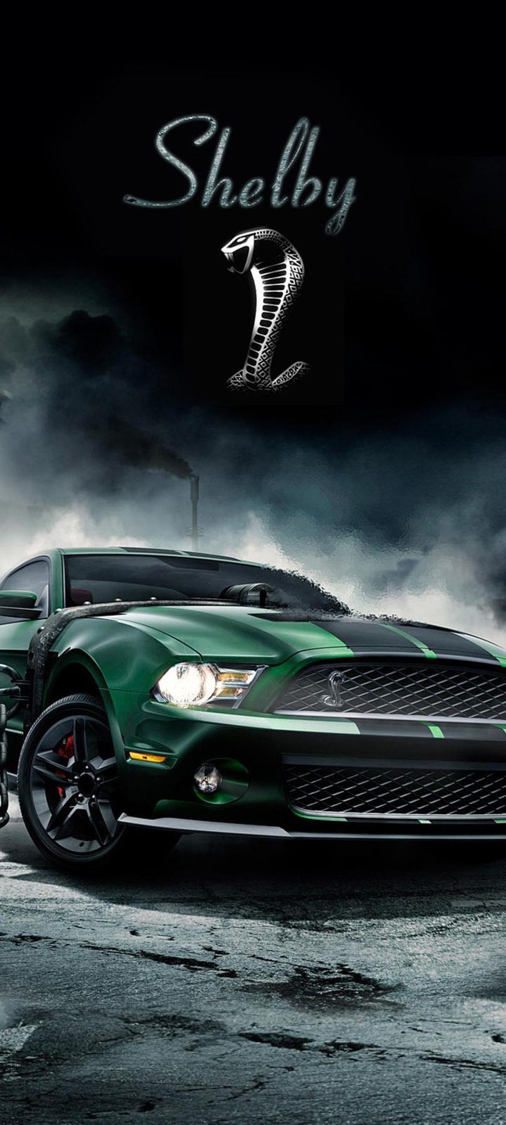Shelby the beast