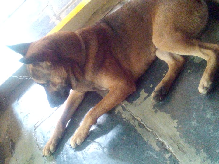 cute cute sonyy