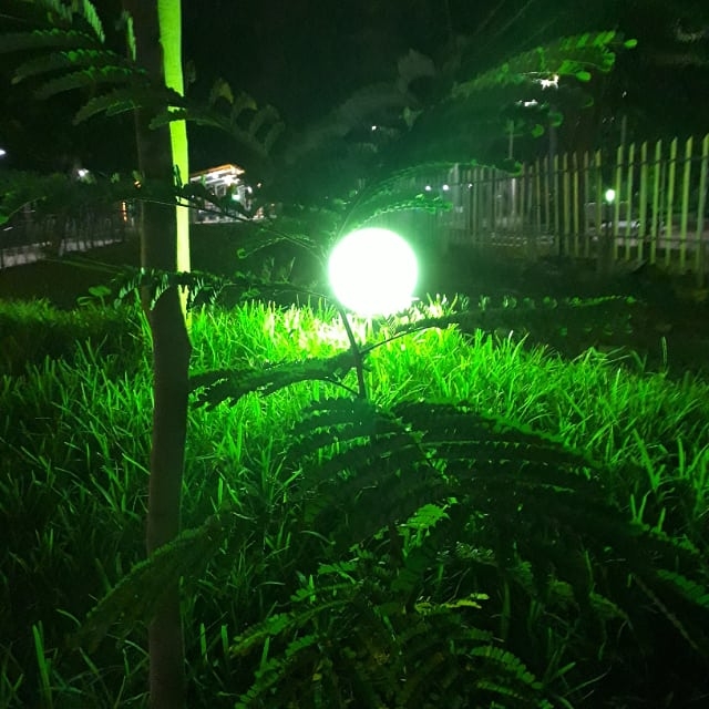 Greenalways