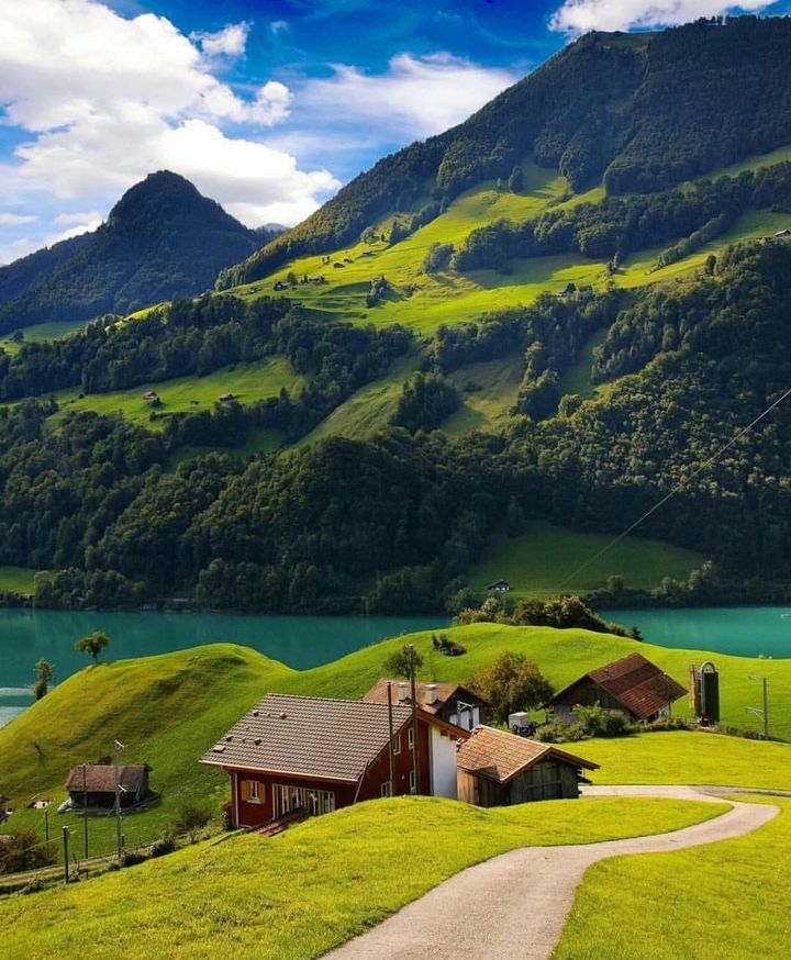 nature