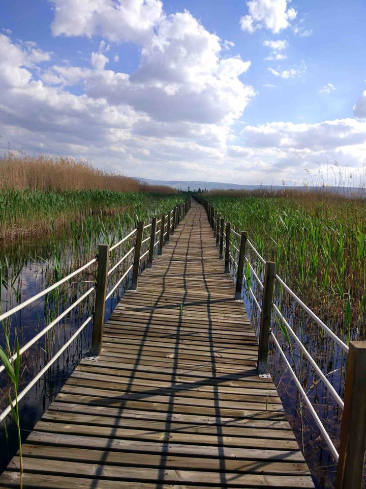 SULTANSAZLIĞI