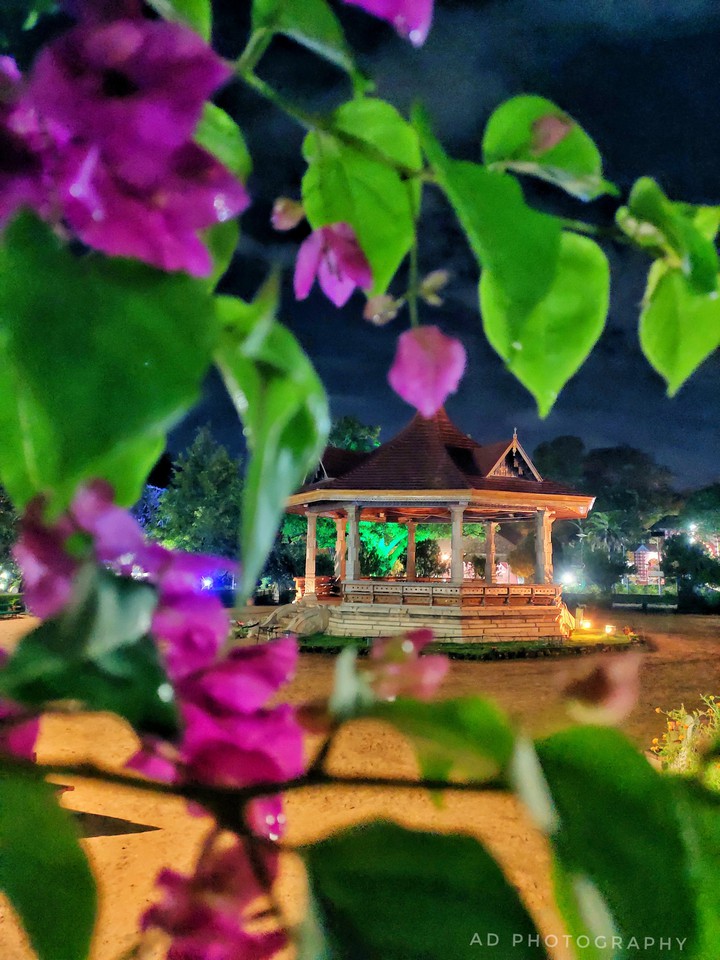 Night scenes