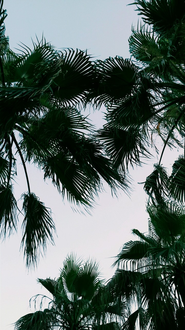 SUMMER