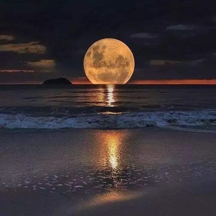 paz