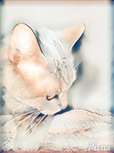 Roger