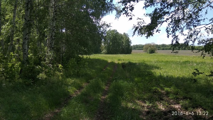nature