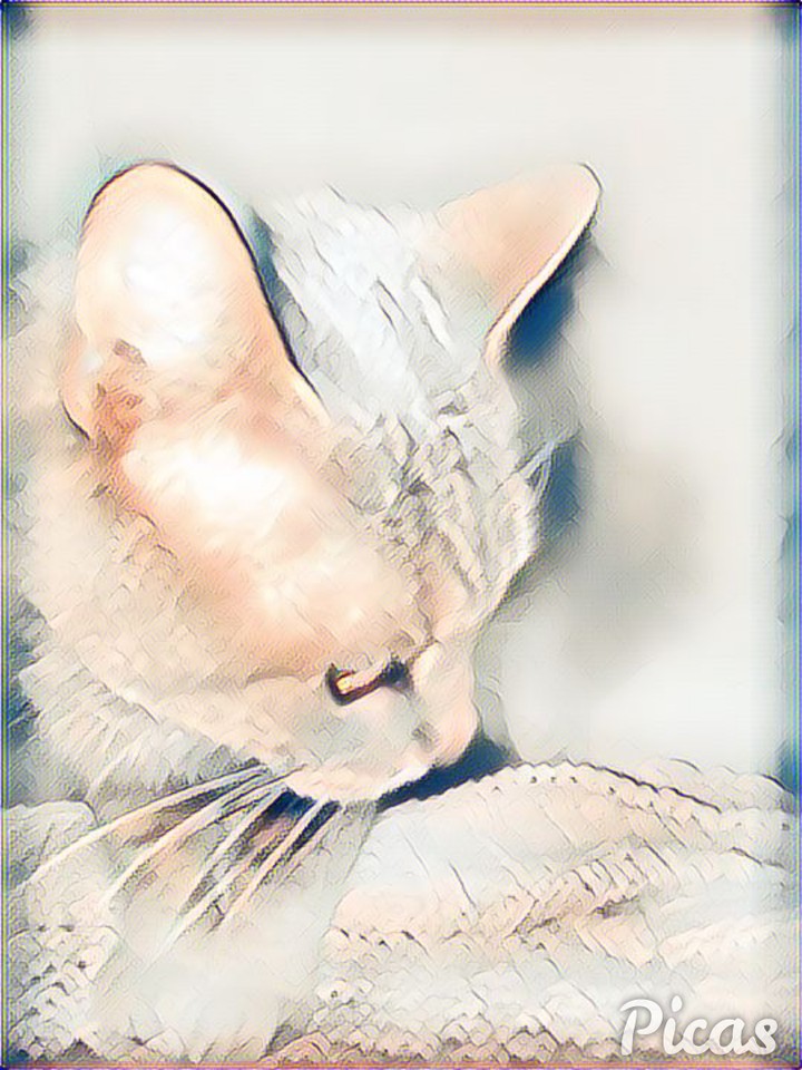 Roger