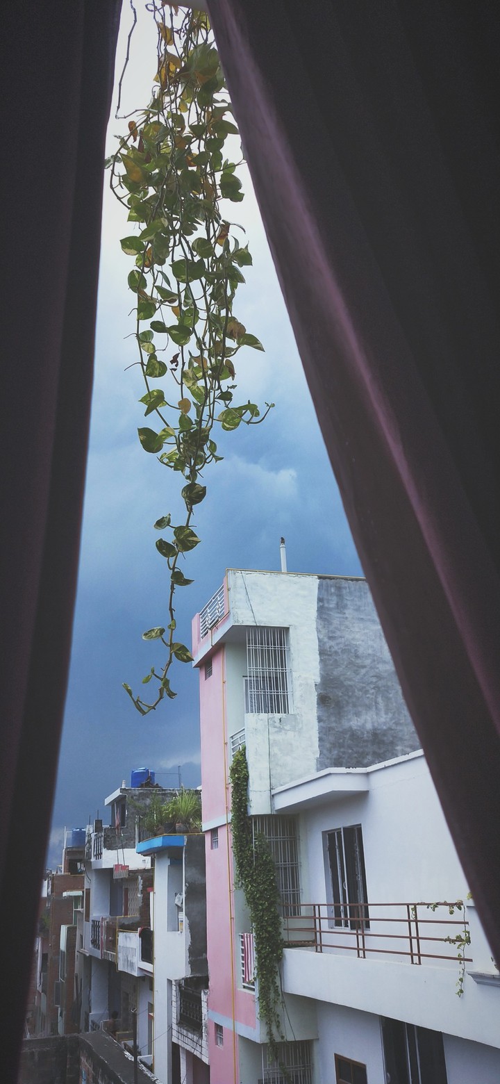 view