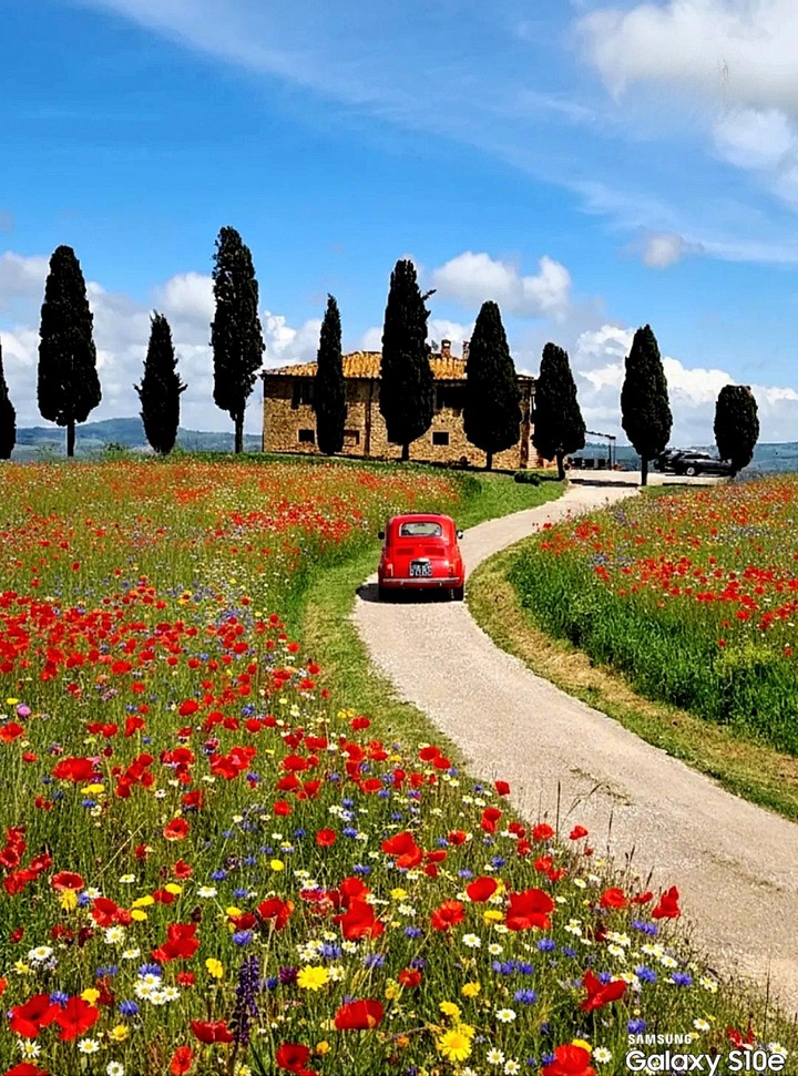 Y❤️ Italian landscape