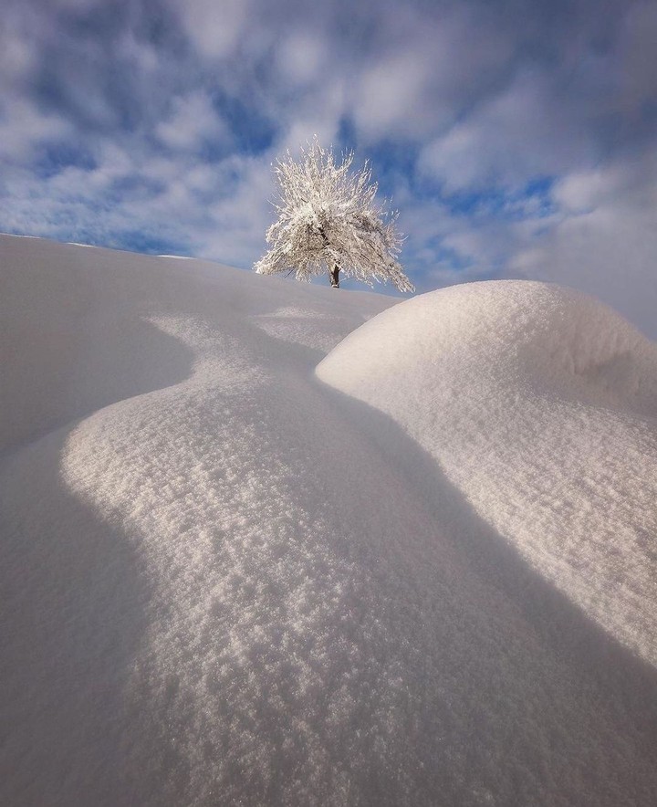 #winter