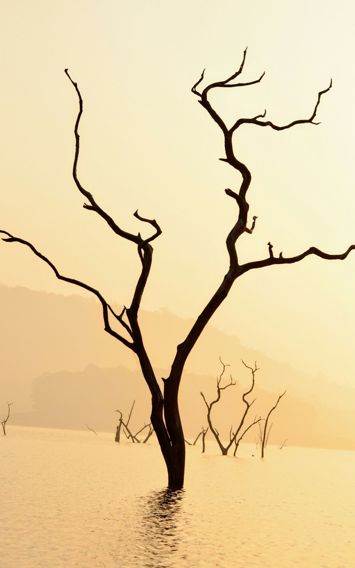 Nature3
