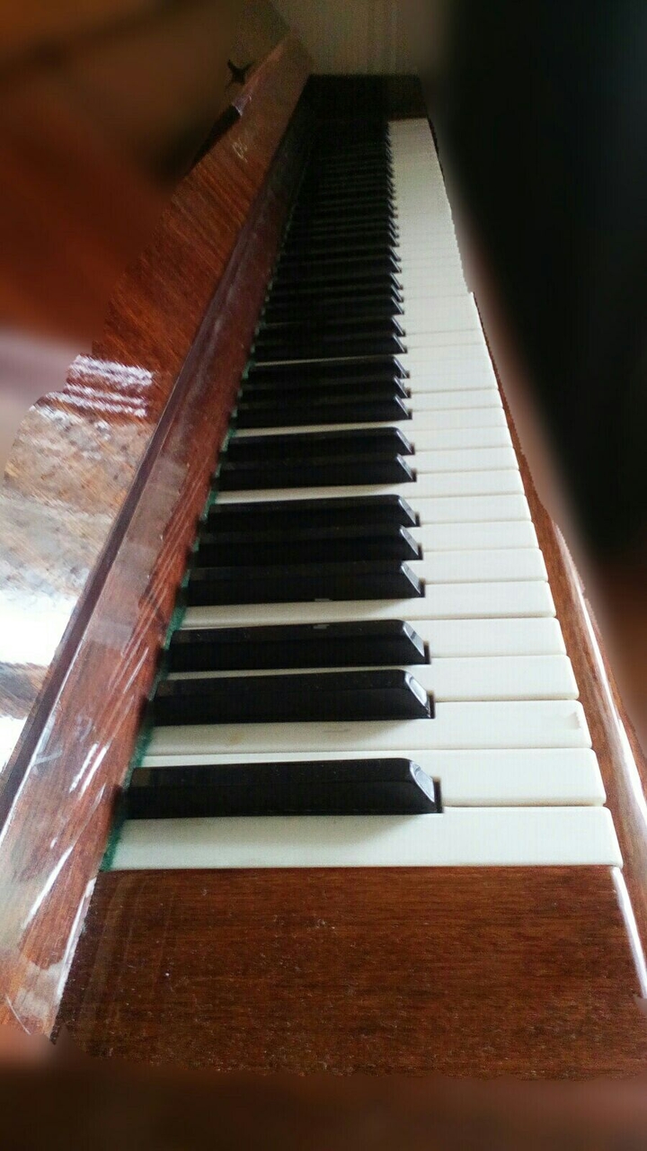 Melody