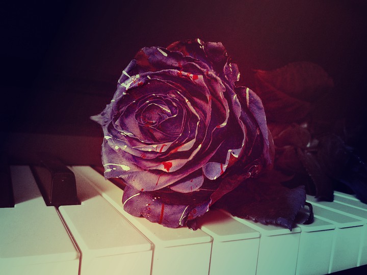 flower