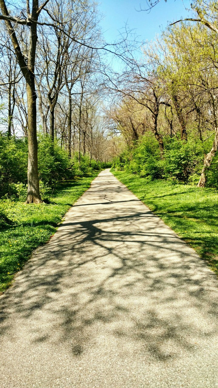 Straight Path