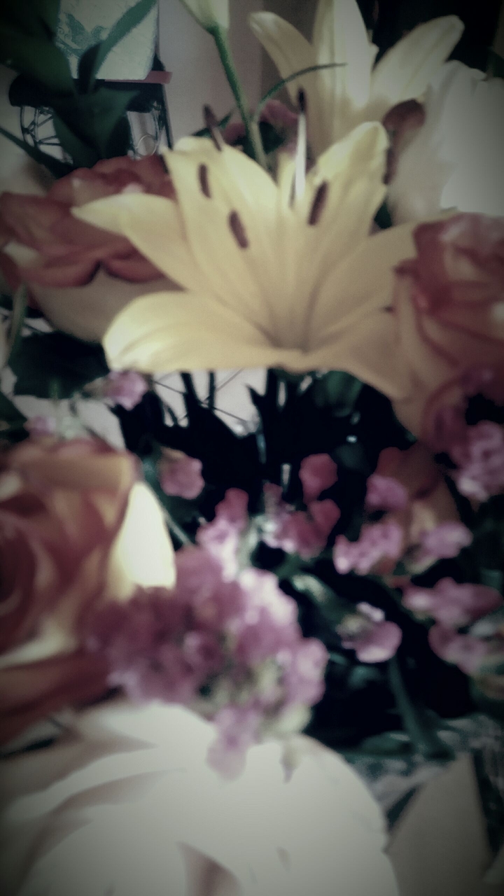 bouquet of flowers