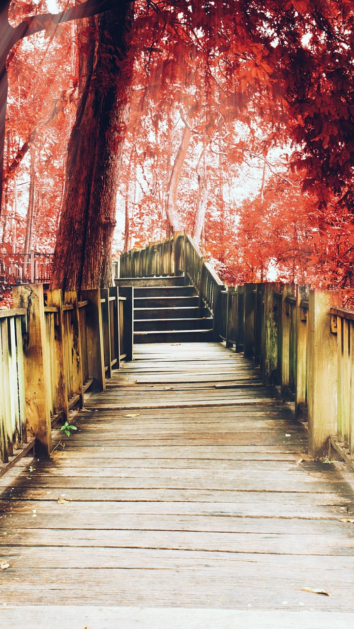 stairway