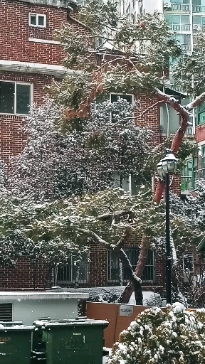 눈내린 풍경 雪景