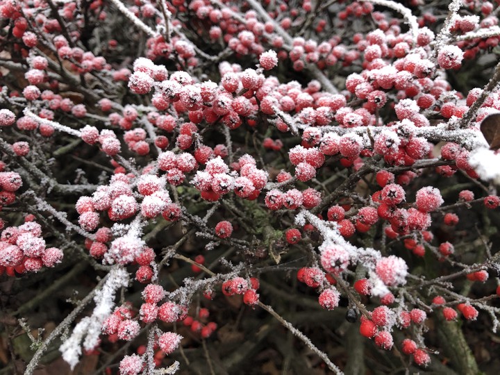 Winter