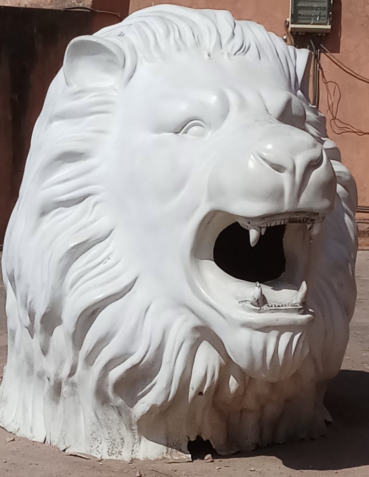 Lion's Head